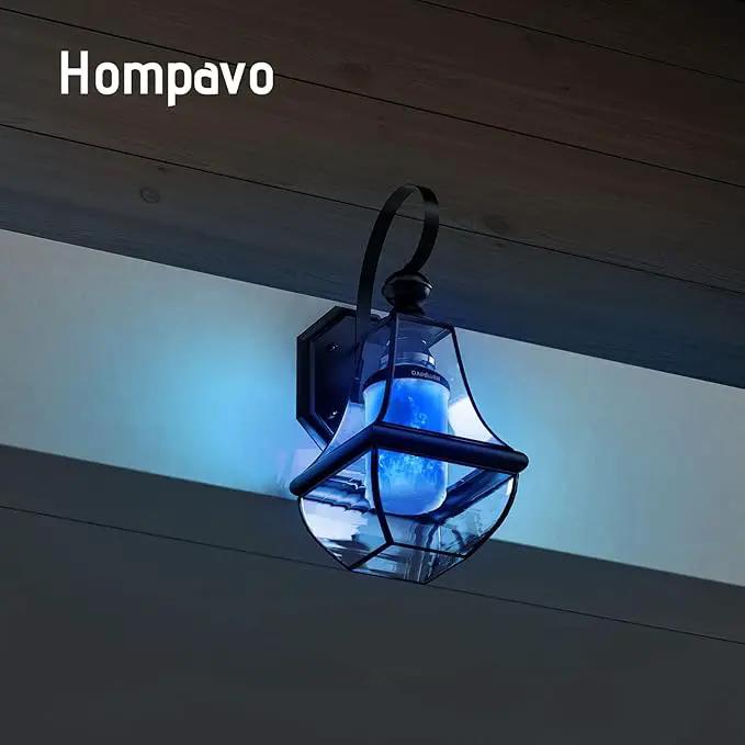 Hompavo 【Upgraded】 LED Flame Light Bulbs, Purple Flickering Light Bulbs with Upside Down Effect, E26/E27 Flame Bulb for Halloween Christmas Party Indoor and Outdoor Home Decoration (2 Pack) by GreenHaven Gardens