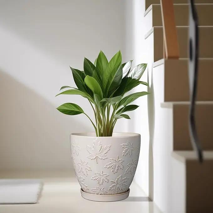 Pots for Plants 10 Inch - Ceramic Planter Large Plant Pot for Indoor Plants Outdoor Round Flower Pot with Drainage Hole and Saucer Home Garden Decor White by GreenHaven Gardens