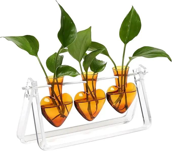 Plant Terrarium Propagation Stations with Wooden Stand Birthday Gifts for Women Plant Stand Indoor Office Home Decor by GreenHaven Gardens
