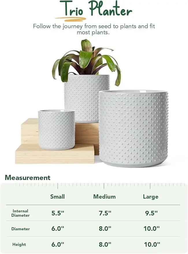 LE TAUCI Ceramic Pots for Plants, 6+8+10 Inch Planters for Indoor Plants, Plant Pots Indoor for Home and Office, Mid-Modern Century Flower Pots with Drainage Hole and Silicone Plug, Glaze Star Gray by GreenHaven Gardens