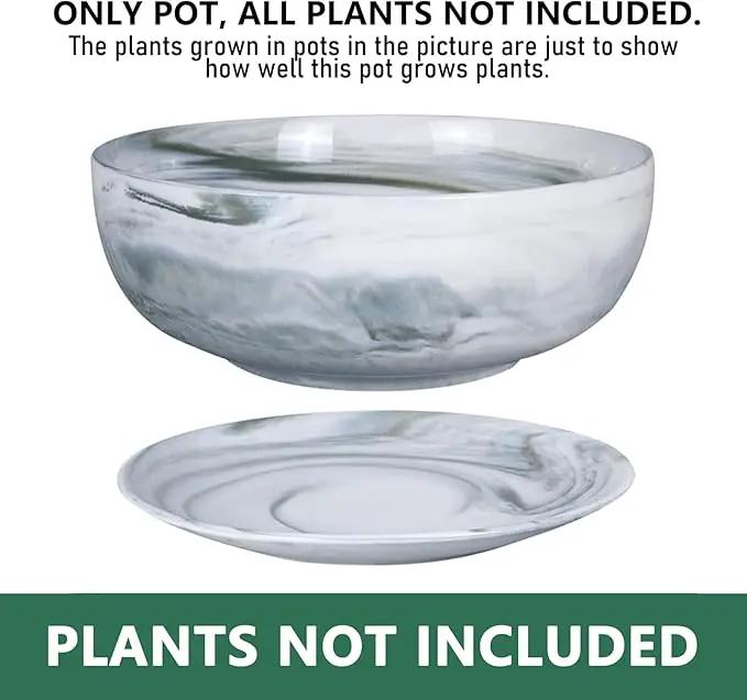 G EPGardening 8in Marble Pattern Large Round Succulent Planter Pot Modern Flower Pot Indoor and Outdoor Planter with Marble Tray by GreenHaven Gardens