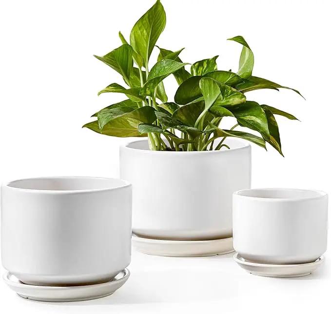 LE TAUCI Plant Pots Indoor, 4.3+5.3+6.8 Inch, Set of 3, Ceramic Planters with Drainage Hole and Saucer, Modern Indoor Flower Pot with Hole Mesh Pad, Gifts for Mom, Classic White by GreenHaven Gardens