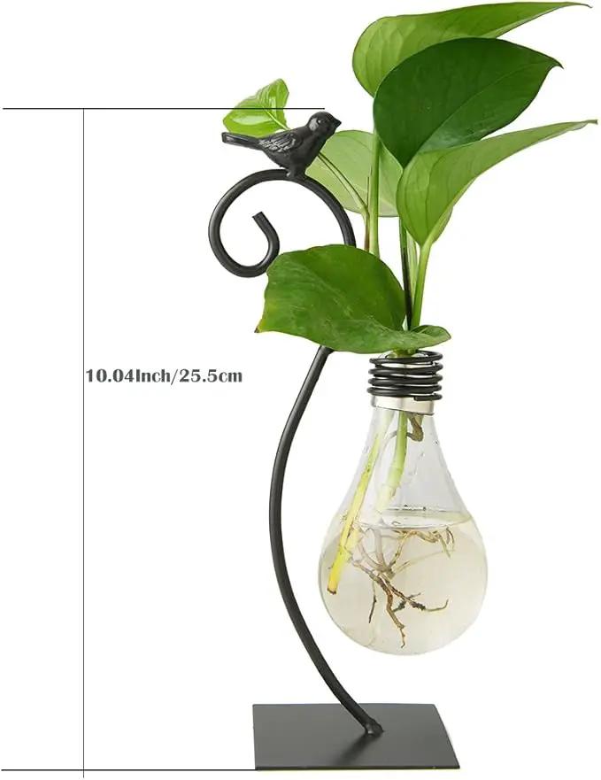 Marbrasse Desktop Glass Planter Hydroponics Vase,Planter Bulb Vase with Holder for Home Decoration,Modern Creative Bird Plant Terrarium Stand, Scindapsus Container (Bulb Vase) by GreenHaven Gardens