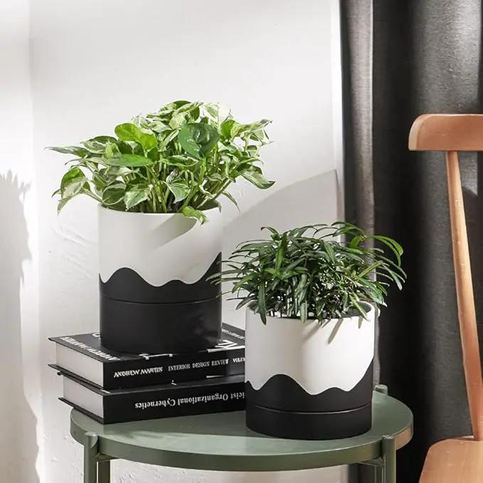 Nihow Ceramic Plant Pot: 6 Inch Planter with Drainage Hole & Saucer for Indoor & Outdoor Plants - Cylinder Round Flower Pot for Succulent/Herbs/Violets - White & Wave Black by GreenHaven Gardens