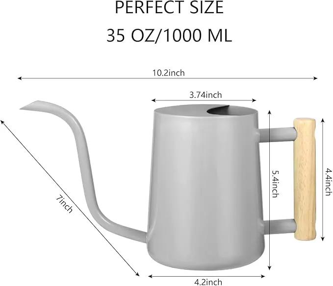 Watering Can Indoor Plants, 35oz Small Watering Can Indoor Stainless Steel Metal Watering Can Modern Decorative Watering Pot with Long Spout for Indoor House Plant Bonsai Garden Flowers (Gray) by GreenHaven Gardens