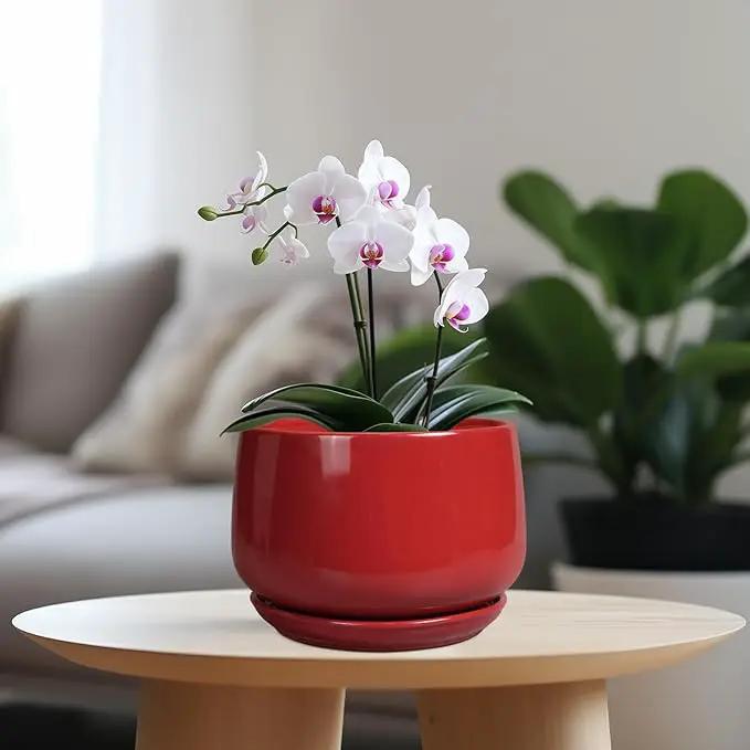 G EPGardening Ceramic Planter 7 Inch - Flower Pots for Indoor Plants, Round Planter with Drainage and Ceramic Tray, Modern Plant Pot, Bathroom Decor, Teacher Gifts, Red by GreenHaven Gardens