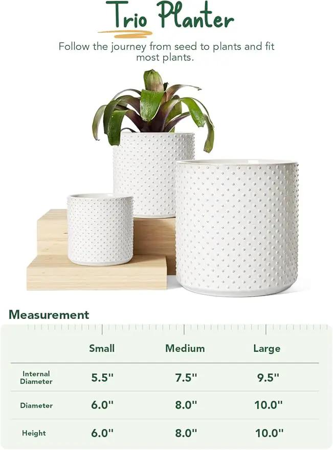 LE TAUCI 6+8+10 Inch Plant Pots Indoor, Ceramic Planter Pots for Plants, Raised Dots Flower Pots Indoor for Home and Office, Mid-Modern Century Pots with Drainage Hole and Plug, Glaze Arctic White by GreenHaven Gardens
