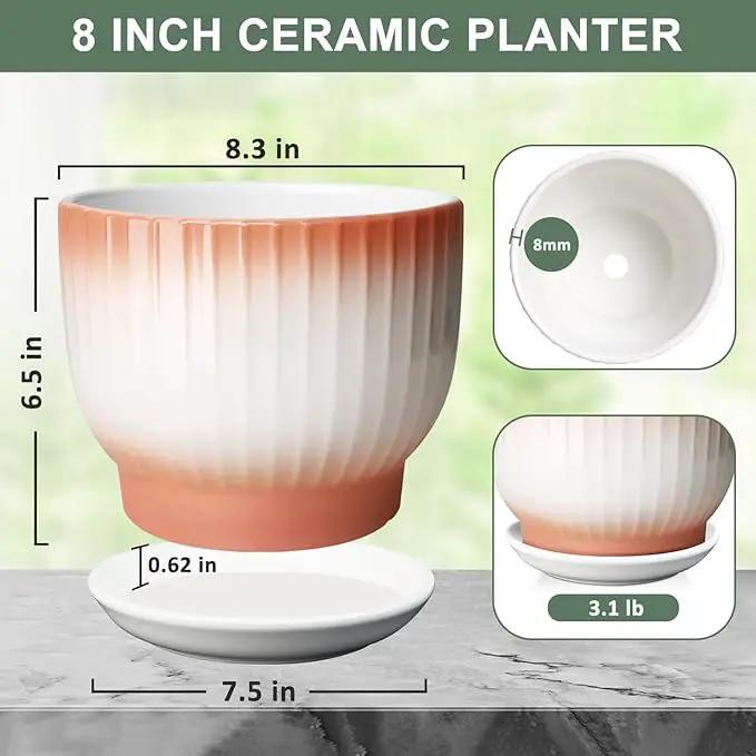 8 Inch Plant Pot, Ceramic Planter with Drainage and Saucer, Ceramic Pots for Plants, Indoor Plant pots,Ceramic Flower pots(Orange+ White, Plants NOT Included) by GreenHaven Gardens