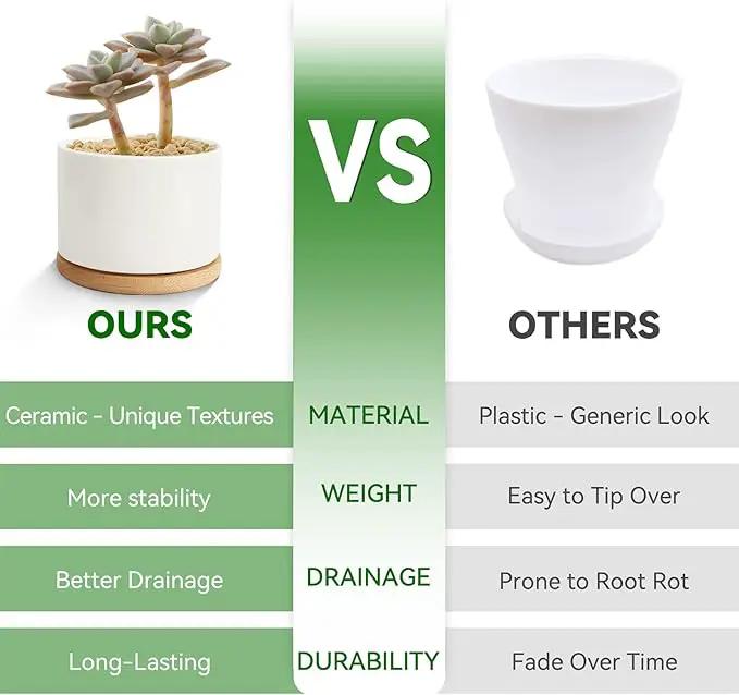 ZOUTOG Plant Pot 4 Inch, Ceramic Succulent Pots with Drainage Hole & Bamboo Tray, Pack of 6 White Small Flower Pots for Home, Office, Indoor or Outdoor Decor - Plants Not Included by GreenHaven Gardens