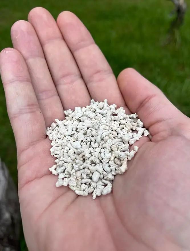 LitChicks’ Calcified Seaweed for Laying Chickens - Crushed Oyster Shell Alternative - Highly Digestible - Single Ingredient - Helps with Egg Laying & Flock Health. by GreenHaven Gardens
