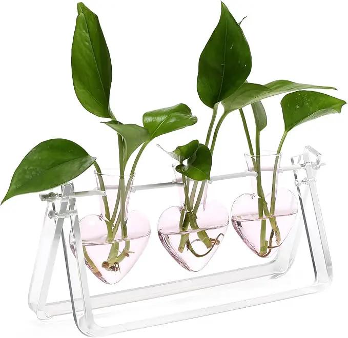 Plant Terrarium Propagation Stations with Acrylic Stand Birthday Gifts for Women Plant Stand Indoor Office Home Decor by GreenHaven Gardens