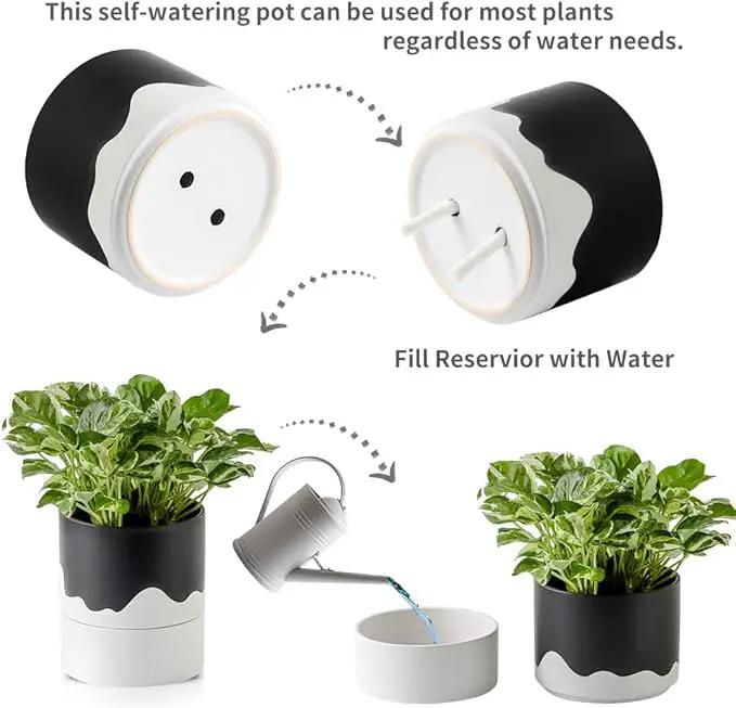 Nihow Self Watering Plant Pot: 6 Inch Ceramic Planter with Drainage Hole & Water Storage Plus for Indoor & Outdoor Plants - Cylinder Round Flower Pot for Succulent/Herbs/Violets - Black & Wave White by GreenHaven Gardens
