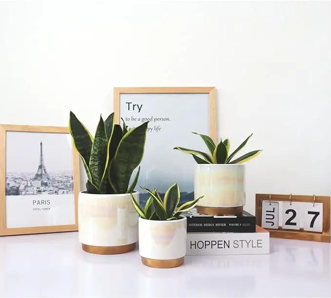 Gepege White Indoor Pots for Plants, Ceramic Planter with Drainage Hole, 6.0 inch+5.0 Inch+4.0 Inch. Succulent Orchid Flower Pot - Rainbow Pearl Glaze by GreenHaven Gardens