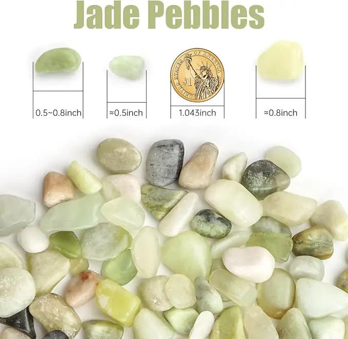 River Rocks 5 Lbs, 3/8 Inch Jade Pea Gravel, Rocks for Plants Indoor, Stones for Garden Landscaping, Vase Filler, Smooth Gravel Filler for Succulents, Cactus, Fish Tank and Vases by GreenHaven Gardens