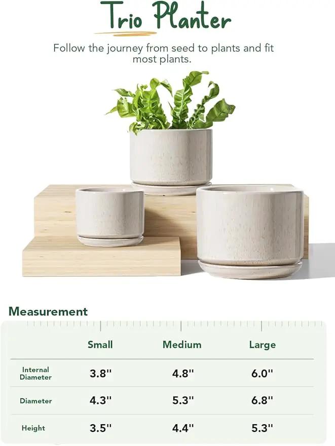 LE TAUCI Ceramic Plant Pots, 4.3+5.3+6.8 inch, Set of 3, Planters with Drainage Hole and Saucer, Indoor Flower Pot with Hole Mesh Pad, Gifts for Mom, Reactive Glaze Beige by GreenHaven Gardens