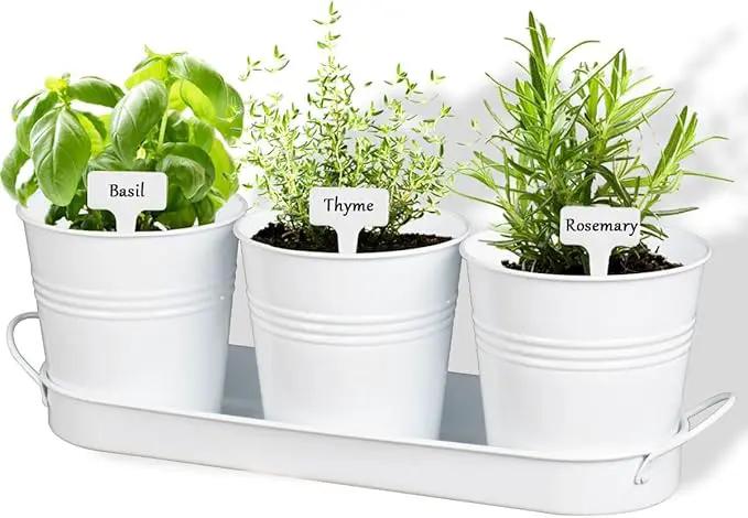vensovo Indoor Herb Planter Set - Galvanized Windowsill Garden Pots with Tray & Drainage, Set of 3 Metal Window Planters for Kitchen & Outdoor Use, White by GreenHaven Gardens