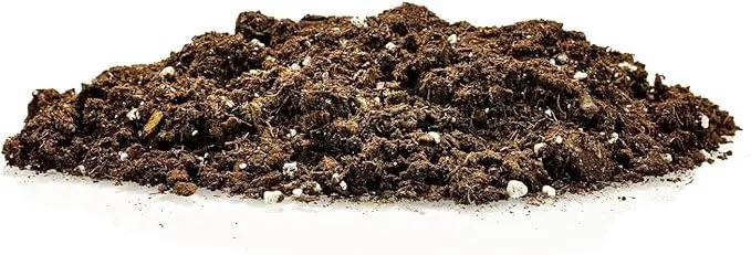 Premium Dracaena Potting Soil Mix - (10 Quart Bag) by GreenHaven Gardens