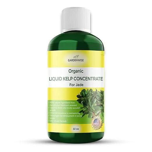 Organic Premium Kelp Seaweed Fertilizer for Jade - Liquid Fertilizer - Liquid Plant Food - Nutrient-Rich Soil Enhancer - Natural Plant Food for Jade Plant (32 OZ) by GreenHaven Gardens