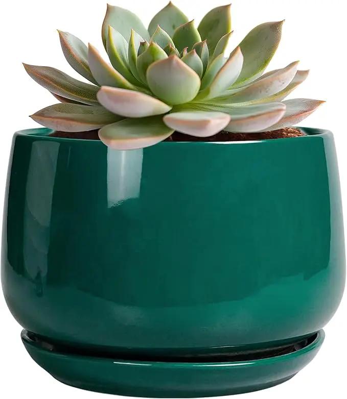 G EPGardening 6 Inch Plant Pot - Ceramic Planter for Indoor Plants, Round Planter with Drainage and Ceramic Tray, Flower Pots for Outdoor, Modern House Decor, Gift for Men Women, Green by GreenHaven Gardens
