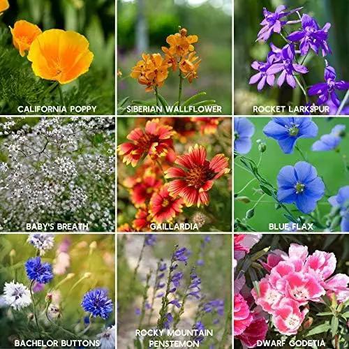 Rocky Mountain Wildflower Seeds Mix - 1 Lb Seed Pouch - 22 Wild Flower Seed Varieties - Annuals, Perennials and Bi-Annuals - Flower Garden by GreenHaven Gardens