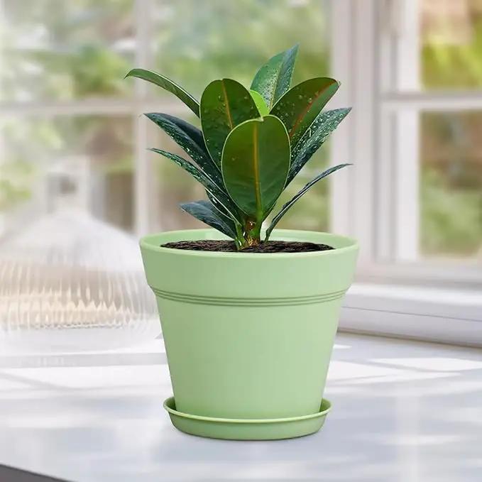4 inch Small Plastic Nursery Pots, Seedling Pots - 16 Pack Plant Pots for Indoor & Outdoor Plants, Decorative Flower Pots with Drainage Holes and Saucers for House Plants, Green by GreenHaven Gardens
