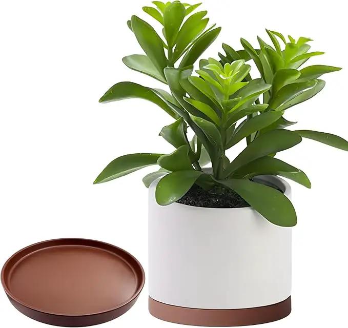 Ceramic Plant Saucer Pot Tray 12 Inch, Planter Saucers 4 5 6 7 8 9 10 11 12 13 Inch for Indoors Outdoor, Durable Sturdy Flower Drainage drip Water Tray for Glazed Pots Base (12.7 Inch-Brown) by GreenHaven Gardens