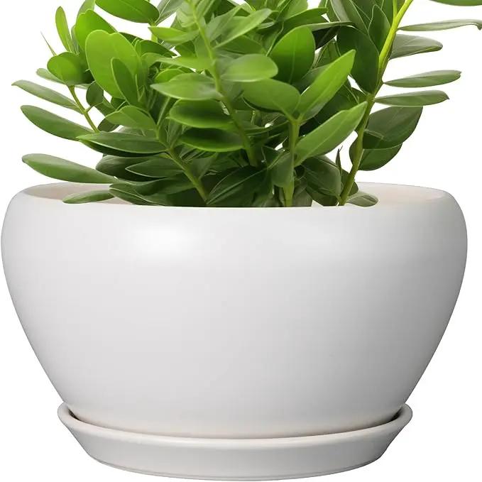 Ceramic Planter for Indoor Plants - 11 Inch Plant Pot with Drainage Hole and Saucer Decorative Round Large Planter Pot for Plants Outdoor Flower Pot for Garden White by GreenHaven Gardens