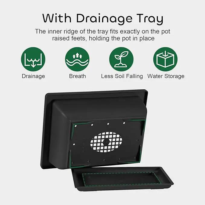 GROWNEER Bonsai Training Pots with Drainage Trays 3 Packs 6.5 Inch, Durable Bonsai Tree Starter Set Kits with Repotting Mat Small Indoor Outdoor Growing Pot Rectangle Planter, Built in Mesh by GreenHaven Gardens