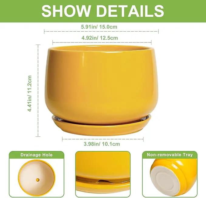 G EPGardening Ceramic Plant Pot - 6 Inch Ceramic Planter with Drainage Hole and Tray, Modern Round Planter, Flower Pot for Indoor Outdoor Plants, Plants Lovers Gifts, House Garden Decor, Yellow by GreenHaven Gardens