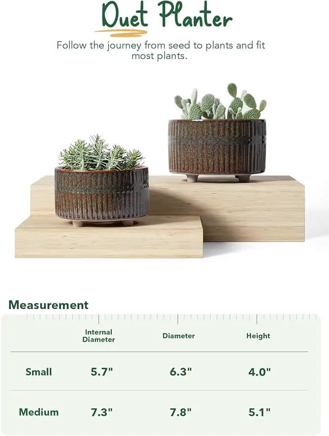 LE TAUCI Succulent Pots, 6.5+8 Inch Ceramic Indoor Plant Pot with Drainage Hole, Modern Round Decorative Flower Pot, Set of 2, Reactive Glaze Black by GreenHaven Gardens