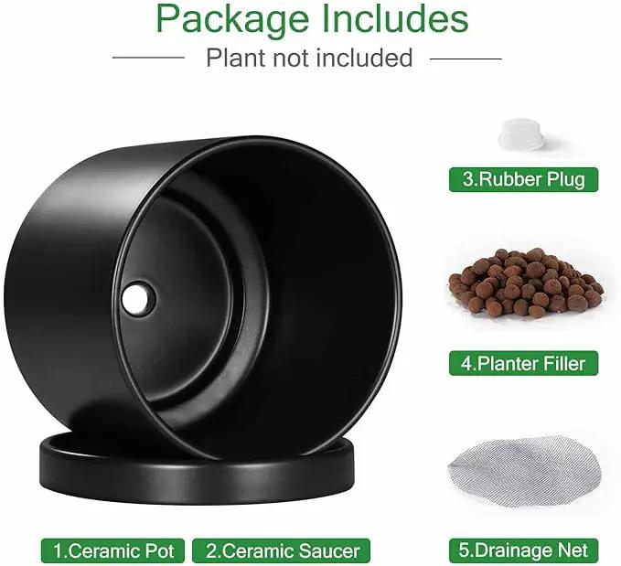 Aveyas 8 inch Ceramic Plant Pot with Drainage Hole and Saucer - Suitable for Indoor and Outdoor Use, Modern Planters for House Garden Flower Tree Snake Monstera Plants (8", Matte Black) by GreenHaven Gardens