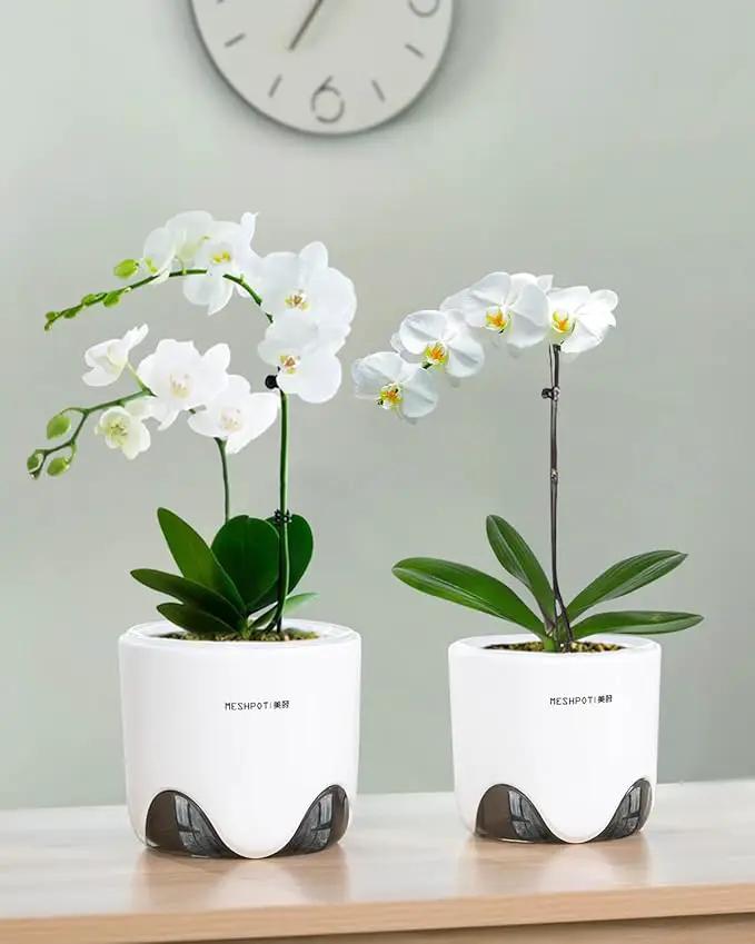6 inch Orchid Pots with Holes for Repotting with Excellent Airflow, Set of 1, Double Layer Plastic Imitate Ceramic Orchid Planter, Clear Orchid Pot Match Decorative Orchid Container