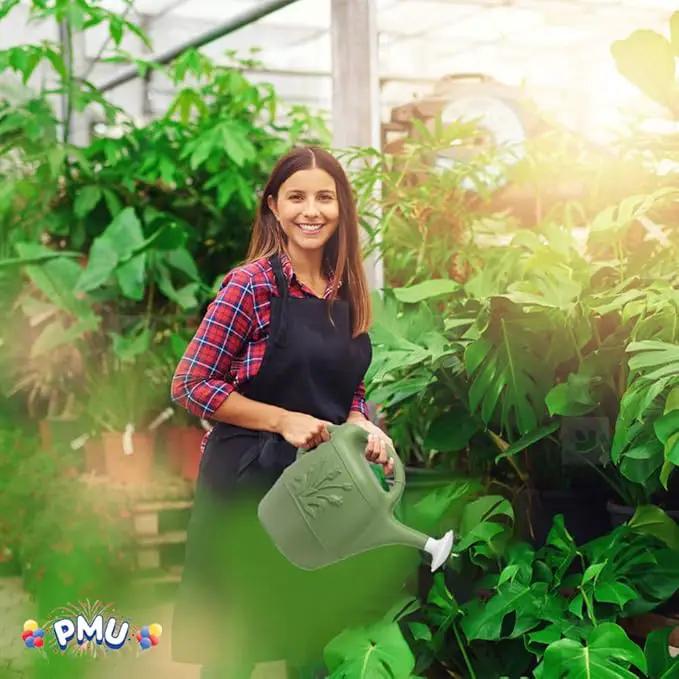 PMU 2 Gallon Watering Can - Garden Watering Can for Indoor & Outdoor Plants - Plastic Water Can with Detachable Sprinkler Head - Large Water Pot, Made in USA - Sage Green Pkg/1 by GreenHaven Gardens
