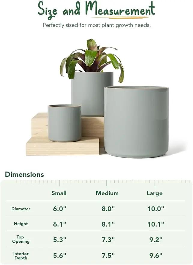 LE TAUCI Ceramic Plant Pots Indoor, 10+8+6 Inch Planters for Indoor Plants, Mid-Century Modern Flower Pots with Drainage Hole and Plug, Cylinder Round Planters, Set of 3, Blue Gray by GreenHaven Gardens