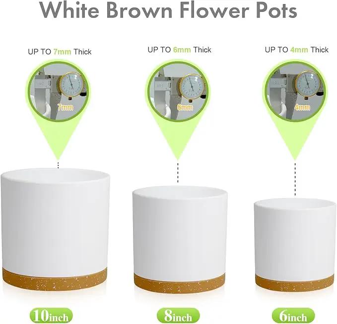10/8/6 inch Deep Plant Pots, 3 Pack Cylindrical Large Flower Pots for Outdoor Indoor Plants, Tall Plastic Planters with Drainage Holes and Saucers for Garden House Plants, White with Brown by GreenHaven Gardens