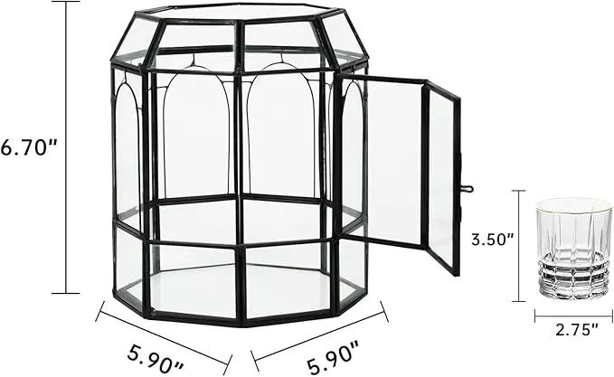 Ferrisland Glass Terrarium Plants with Lid, Black Geometric Terrarium Jar for Succulent Air Carnivorous Plant Moss Snail, Birdcage Shape Tabletop Greenhouse Indoor Decor DIY Presents (Only Terrarium) by GreenHaven Gardens