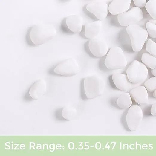 SIDONG 10 LB White River Rocks, 0.3-0.5 Inches Matte Pebbles for Indoor Plants, Aquarium Rocks Used in Fish Tank, Decorative Stones for Plants, Vases, Home Décor, Crafting, Garden Landscaping by GreenHaven Gardens