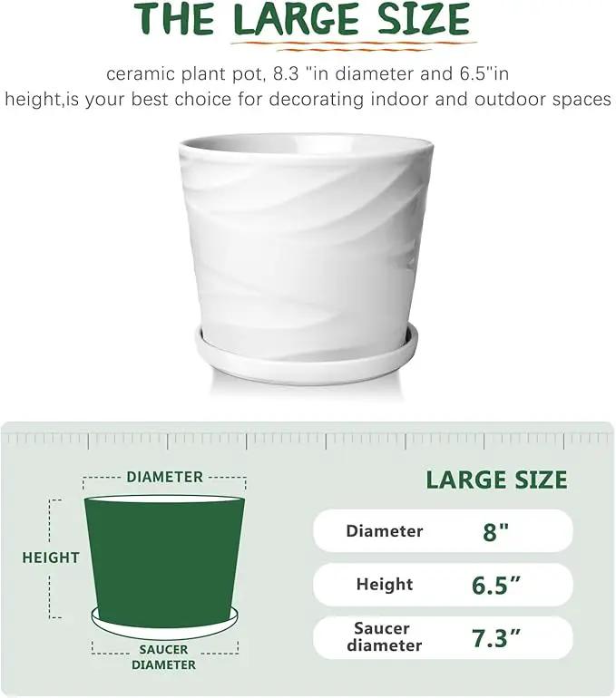 8 Inch Plant Pot, Ceramic Planter with Drainage and Saucer, Ceramic Pots for Plants, Indoor Plant pots,Succulent Orchid Flower Pot(Pure White) by GreenHaven Gardens