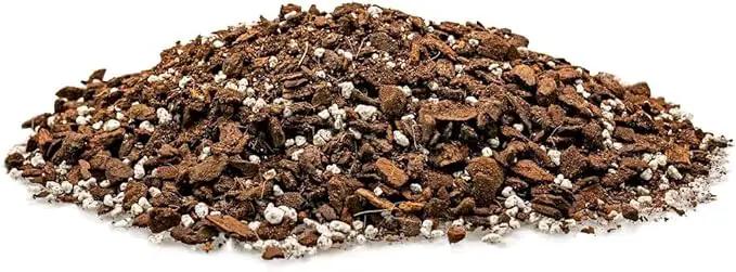 Monstera Dubia Soil Mix - Promotes Healthy Root Growth and Moisture Retention - 2 Quart by GreenHaven Gardens