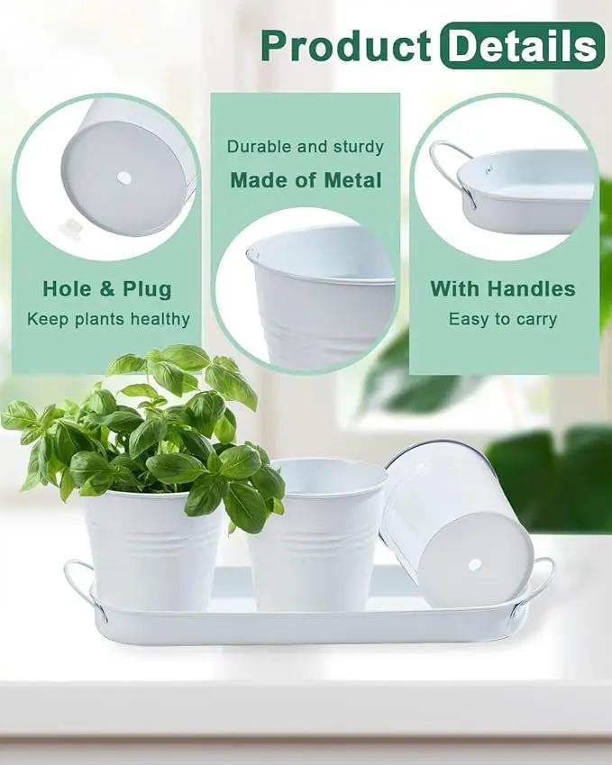 vensovo Indoor Herb Planter Set - Galvanized Windowsill Garden Pots with Tray & Drainage, Set of 3 Metal Window Planters for Kitchen & Outdoor Use, White by GreenHaven Gardens