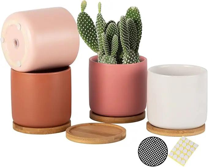 OMAYKEY 4 Inch Ceramic Plant Pot with Saucer, Multicolor Planters Pots with Drainage Hole and Mesh Pads for Succulent, Indoor Flowers, Snake Plants, Cactus, Herbs, Set of 4 (Plant Not Included) by GreenHaven Gardens