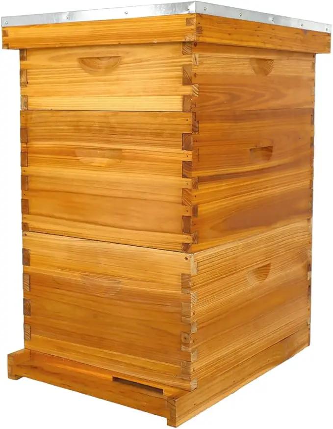 POLLIBEE 10 Frame Langstroth Beehive, Beeswax Coated Bee Hives for Bee Keeper,Beehive Include 2 Deep Bee Boxes and 1 Medium Bee Hive Box with Frame and Foundation(Unassembled) by GreenHaven Gardens