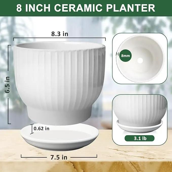 8 Inch Plant Pot,Ceramic Planter with Drainage and Saucer,Ceramic Pots for Plants,Indoor Plant pots,Ceramic Flower pots(Pure White, Plants NOT Included) by GreenHaven Gardens