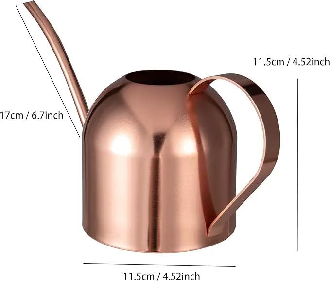 IMEEA Indoor Watering Can for House Plants 33oz/1L Stainless Steel Watering Can with Long Spout (Rose Gold) by GreenHaven Gardens