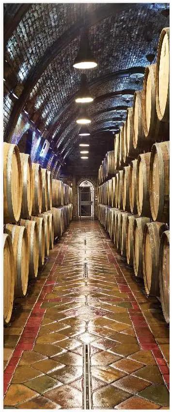3D Door Stickers - Murals & Decals - Wine Cellar Theme - Peel & Stick, Waterproof, Removable - PVC - 37.4" x 84.6" for Bedroom & Living Room Doors by GreenHaven Gardens