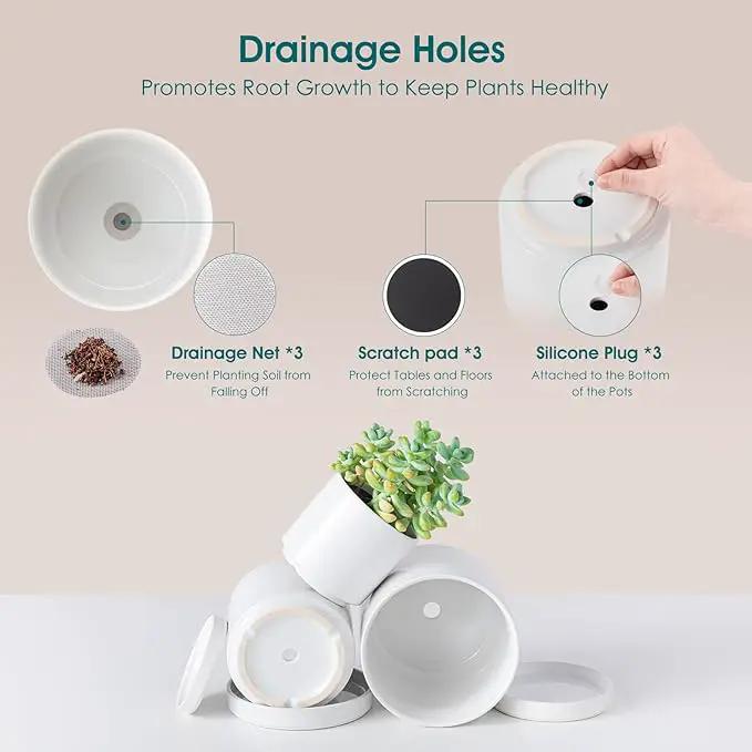 vancasso Ceramic Plant Pots, 3 Piece Planters for Indoor Plants, 4.25+5.25+6.25 Inch Flower Pots with Drainage, Plant Pots Indoor for Succulent, Pothos, Snake Plant and Money Tree, Etc (White) by GreenHaven Gardens
