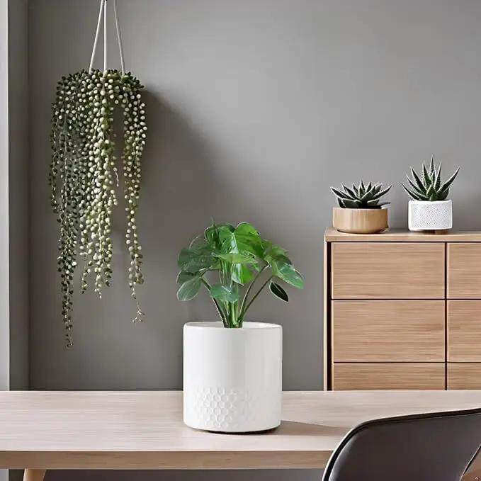 Docrin Ceramic Planters Indoor: 8 Inch Plant Pots with Drainage Holes for Home/Office - White Honeycomb by GreenHaven Gardens