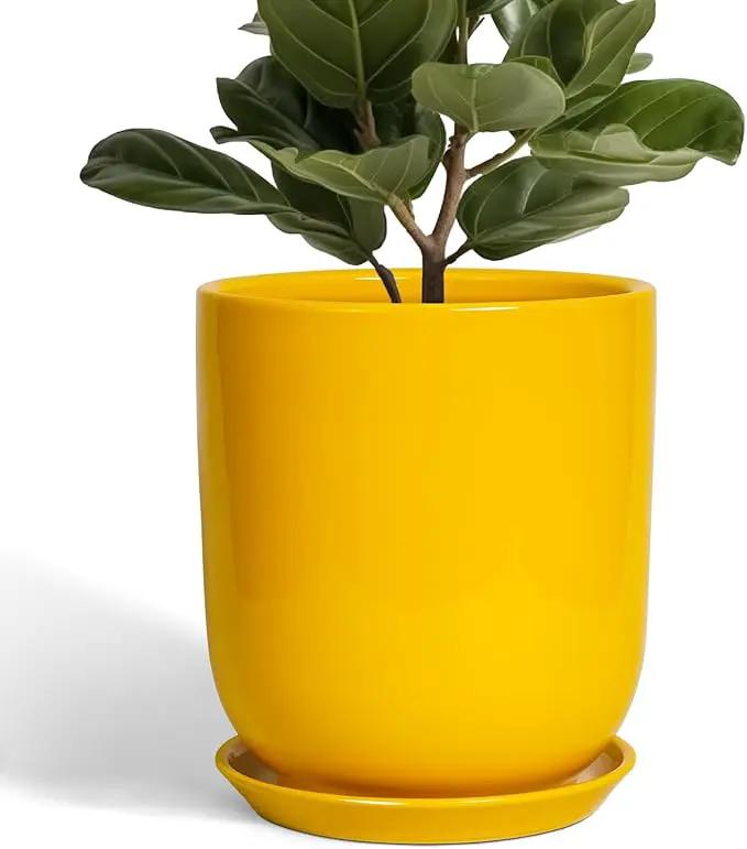 Ceramic Pot for Plants - 10 Inch Plant Pot Indoor with Drainage Hole and Saucer Large Planter for Outdoor Plants Cylinder Decorative Flower Pot Yellow by GreenHaven Gardens