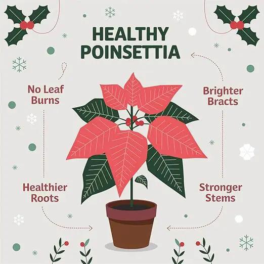 Poinsettia Plant Fertilizer - 3-1-2 NPK - Organic Liquid Plant Food for Christmas Flowers and Trees - 8oz Concentrate by GreenHaven Gardens