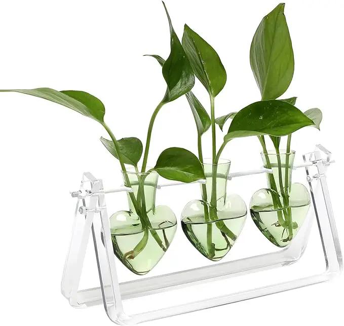 Plant Terrarium Propagation Stations with Wooden Stand Birthday Gifts for Women Plant Stand Indoor Office Home Decor by GreenHaven Gardens
